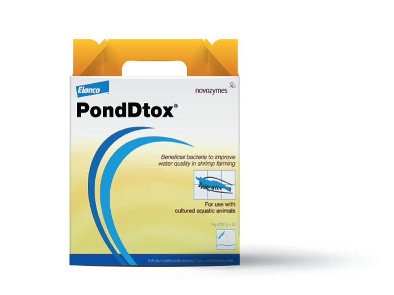 พอนด์ดีท็อกซ์ : PondDtox